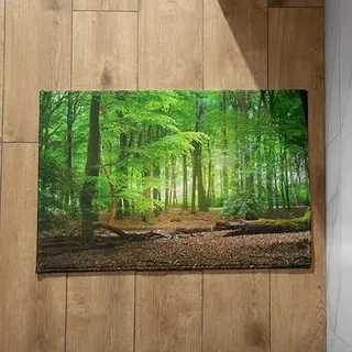 EHOMERY Waschbare Schmutzfangmatte Innen Fussmatte Aussen Lustig Groß Wald Schmutzfangmatte Waschbar mit Motiv Fussmatten Für Den Aussenbereich Schmal 50x80cm,