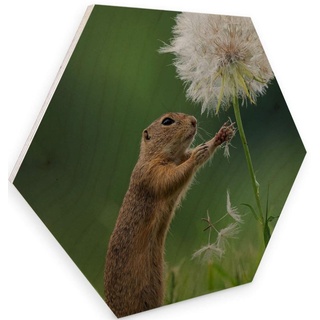 Holzbild WALL-ART "Eichhörnchen Blumen" Bilder Gr. B/H/T: 75 cm x 1 cm x 65 cm, -, 1 St., bunt (mehrfarbig) Holzbilder