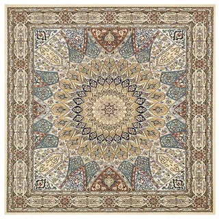 Quadratisch Teppich für Innenbereich Rutschfester, Modernes Anti-Rutsch ultraweich Teppiche fürs Wohnzimmer Esszimmer Schlafzimmer Boden Sofa,Traditionelles Vintage-Bordürendesign 100 x 100 cm