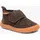 Brown 21