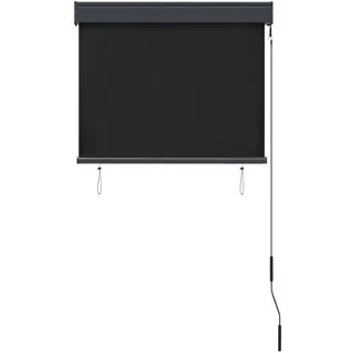 vidaXL Außenrollo 80 x 250 cm Anthrazit