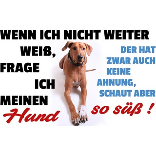 Schatzmix Spruch Wenn ich Nicht weiter weiß (Hund) Metallschild Wanddeko 20x30 cm tin Sign Blechschild, Blech, Mehrfarbig