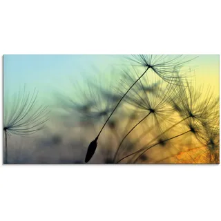 Glasbild ARTLAND "Goldener Sonnenuntergang und Pusteblumen" Bilder Gr. B/H: 60 cm x 30 cm, Blumen, 1 St., gelb Glasbilder in verschiedenen Größen