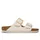 eggshell 40