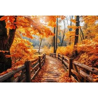 Xiaoterna 2,2x1,5m Herbst Fotografie Hintergrund Herbst Ahornblätter Pfad Wald Erntedankfest Kulisse Herbst Wald Hintergrund Geburtstagsfeier Dekoration Kinder Erwachsene Porträt Foto Requisiten