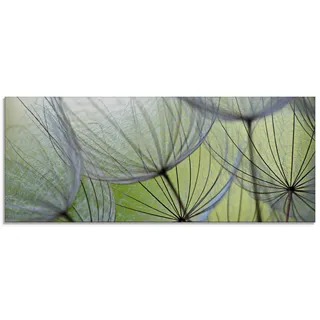 ARTland Wanddeko Glasbilder Wandbild Glas Bild einteilig 125x50 cm Querformat Natur Botanik Blumen Pusteblume Frühling Grün T5PP