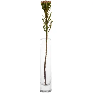 LEONARDO Novara Transparent 24 cm