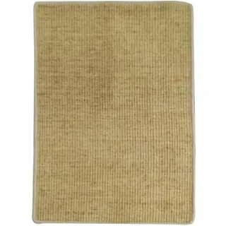 Tubayia Sisal Fußmatte Türmatte Türvorleger Schmutzmatte Matte Teppich für Innen Außen (45x75cm)