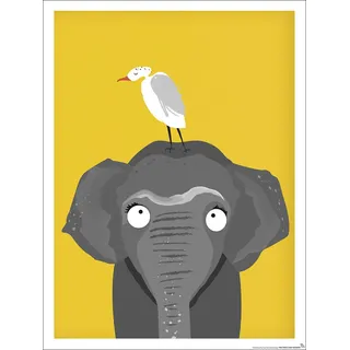 Close Up Kinderzimmer Poster Elefant Afrika (30cm x 40cm)
