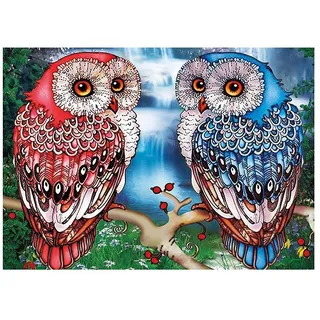 Ideen mit Herz 5D Diamond Painting Set | Strass-Edition | Eulen | Motivleinwand | Motiv: 25 cm x 35 cm | Diverse Strasssteinchen | Inkl. Zubehör