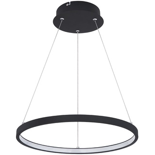 Hängeleuchte Pendelleuchte Ring rund LED Lampen Wohnzimmer hängend Modern, aus Metall in schwarz-matt opal, 1x LED 19W 800Lm warmweiß, DxH 38,5x120 cm