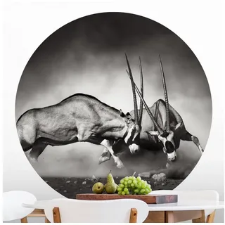 Bilderdepot24 Fototapete rund WilKampf, Glatt, Matt, (Vliestapete selbstklebend), Wohnzimmer Schlafzimmer Küche Wandtattoo Motivtapete Klebe Wandtapete schwarz 150 m x 150 m