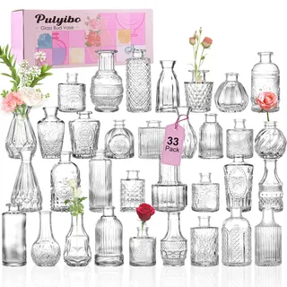 Pulyibo Glas Knospe Vase Satz von 33 Stück, Kleine Vasen für Rustikale Hochzeit Mittelstücke, Mini-Vasen Home Table Flower Decor, Klare Vasen