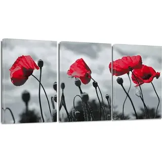 Leinwandbilder 3 Teilig Kunstdruck Motiv Wandbild Rote Blume 30x40cm