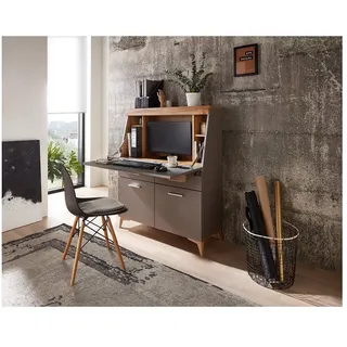 Lomadox Sekretär SELVA-36, in Basalt mit Eiche Altholz Nb., B/H/T ca. 98/124/42 cm beige|grau