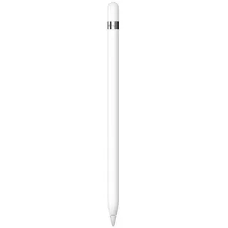 Apple Pencil 1. Generation Set inkl. USB-C Adapter