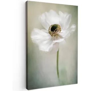 MuchoWow© Wandbilder Wohnzimmer Wanddeko Blumen Leinwandbild Schlafzimmer | 60x90 cm - Zimmerdeko Fotowand Zimmer Deko Wand Dekoration Wall Art - Natur - Anemone - Weiß