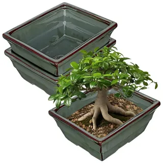 LuxusKollektion Pflanzschale Bonsai-Topf Keramik flach 2er-Set Abflussloch blau