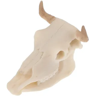 Kichvoe Aquarium Dekoration Büffelschädel aus Kunstharz Leichte und Vielseitige Deko für Aquarium und Zuhause Einzigartige Tierschädel Skulptur im Western Stil