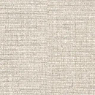 A.S. Création Vliestapete Uni Beige 10,05 m x 0,53 m 396512