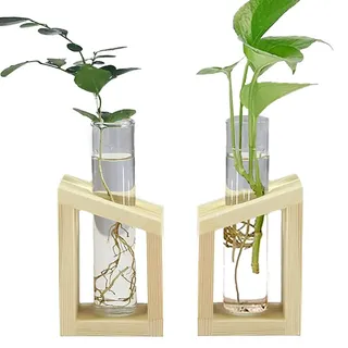 2 Stücke Hydroponische Glasvase, Holz Stand Blumentöpfe, Pflanzen Glasvase, Dekovase Holz Halter, Transparent Runde Reagenzglas Vasen für Home, Garden, Office, Taufe, Geburtstag, Tisch Dekoration