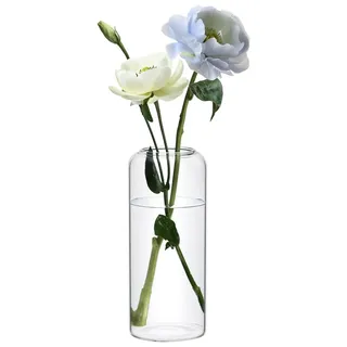 Große, transparente Vasen für Blumen, minimalistisch und modern - Weiß