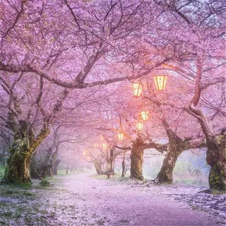 Yingxin34 Puzzle 5000 Teile Rosa Wälder Holzpuzzle Erwachsene Kinder Familie Geschicklichkeitsspiel - 61.61x41.53 Zoll (156.5 x 105.5cm)