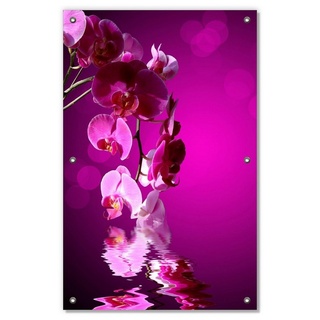 Sonnenschutz Rosafarbene Orchidee Blüten in pink, Wallario, blickdicht, mit Saugnäpfen, wiederablösbar und wiederverwendbar rosa 60 cm x 93 cm