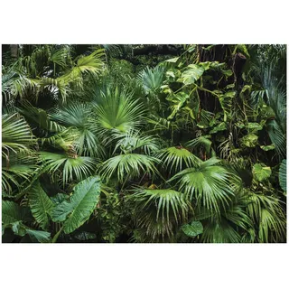 WallArena - Vlies Fototapete Dschungel 300x210 cm - Fototapeten - Tapeten - für Wohnzimmer Schlafzimmer - Vliestapete Wandtapete Tapete 3D Effekt- inkl. Kleister - Landschaft Grün Wald