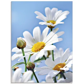 ARTland Wanddeko Glasbilder Wandbild Glas Bild einteilig 45x60 cm Hochformat Natur Blumen Blüten Gänseblümchen Margeriten Landhaus T2YI