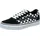 Black / White 34