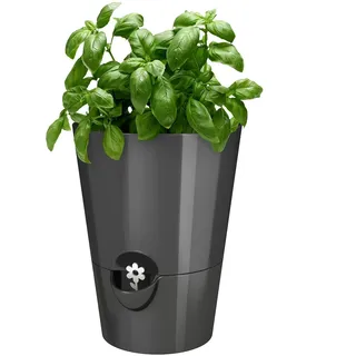 Emsa 514245 Kräutertopf für frische Kräuter, Ø 13 cm, Granit