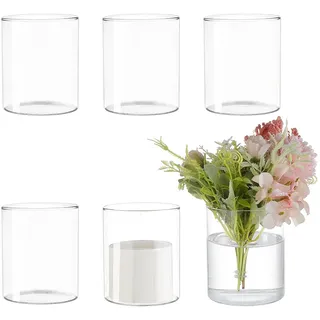 BENECREAT 6 Stück Zylindervasen Aus Glas, 10cm X 8.4cm Klare Hydrokultur-Pflanzenflaschen, Moderne Dekorative Tafelaufsätze Für Mikrolandschaften, Blume, Zuhause, Hochzeiten, Party