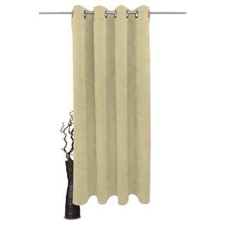Vorhang Velvet, VHG, Ösen (1 St), blickdicht, Samt, Uni, Gardine, pflegeleicht, Dekoration beige 230 cm