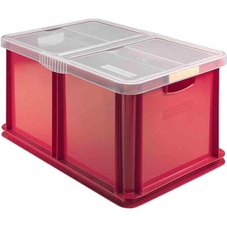 Heidrun, Aufbewahrungsbox, Euro-Box aus Kunststoff in Farbe sortiert, 59x39x30 cm Inhalt: 60 l, mit Deckel (59 x 39 x 30 cm, 60 l)