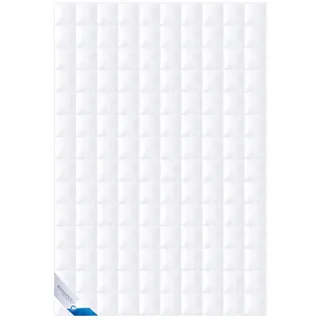 BÖHMERWALD Daunen Exquisit Einziehdecke Leicht Sommer (Größe: 135x200 cm)