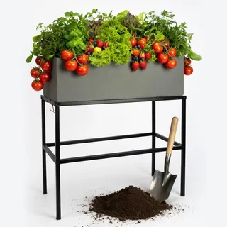 Pflanzwerk Pflanzkübel Hochbeet Gestell Elevate 60x80cm für Garten Terrasse und Balkon Blumenkübel - Pulverbeschichteter Edelstahl - Rostfrei - Premiumqualität - Frostsicher - 2 Jahre Garantie
