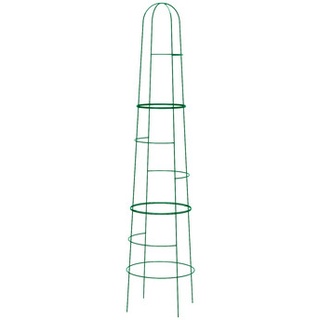Dehner Obelisk Kuro, Grün