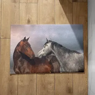 Isdreem Fußmatte Innen Waschbar Weich Fussmatte Gross Pferd Fußmatte Außen Schmal Türmatte Mit Motiv rutschfeste, Leichte Dekorationsmatten Aus Plüschbaumwolle, 40x60cm
