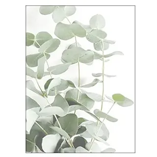 ABCWARRT Nordic City Landschaft Bogen Leinwand Malerei Eukalyptus Bild Blatt Poster Grüner Baum Und Auto Malerei Wandkunst Für Wohnkultur (20 * 30cm Kein Rahmen,1)