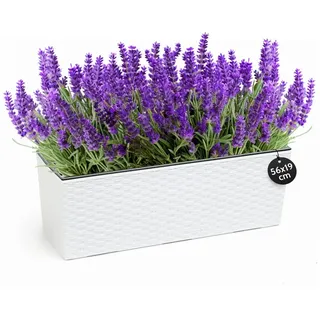 KONZEPT Balkonkasten Hochwertige Blumenkasten Rattan-Optikin, rechteckig 56 x 19 cm, Balkonkasten ideal fur Balkon, Terrasse, Fensterbank weiß