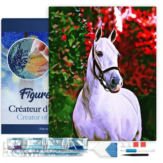 Figured'Art Diamond Painting Erwachsene 40x50cm Mit Rahmen Ganze Leinwand gespannt Weißes Pferd 5D Bilder Eckige Steine - DIY Set Basteln