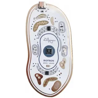 playtronica Biotron Midi Controller (Controller), MIDI Controller