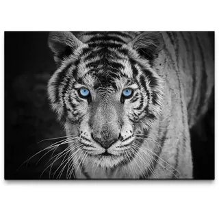 möbel-direkt.de Leinwandbild Bilder XXL Tiger schwarz weiss Wandbild auf Leinwand