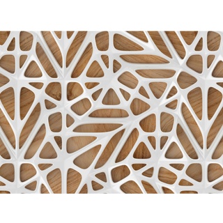 Fototapete Holzoptik Orgnisches Muster Weiß Braun 3,50 m x 2,55 m FSC®
