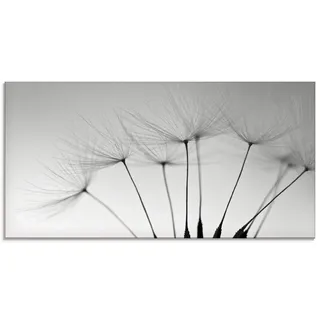 ARTland Wanddeko Glasbilder Wandbild Glas Bild einteilig 60x30 cm Querformat Natur Blumen Blüten Pusteblume Schirmchen Schwarz Weiß T5SQ
