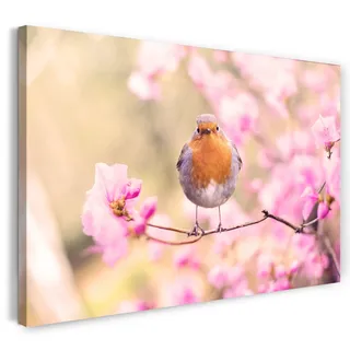 Printistico Leinwandbild (100x70cm) Vogel mit Kirschblüten, Blumen Frühling Wald, warme Farbe, Tier-Fotos, Natur-Fotografie, echter Holz-Keilrahmen inkl. Aufhänger, handgefertigt in Deutschland