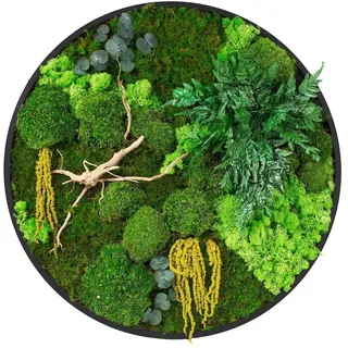 ECD Germany Moosbild Rund Ø 60 cm, Mooswand Indoor echter Kugel-, Island- und Flachmoos-Mix & Ästen, Wanddeko mit Holzrahmen, Wandbild für Haus Büro