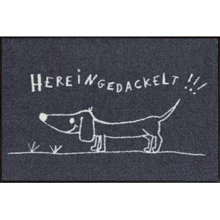 SALONLOEWE Hereingedackelt 50 x 75 cm Grau