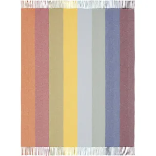 Biederlack Colour lines Plaid 130 x 170 cm Bunt